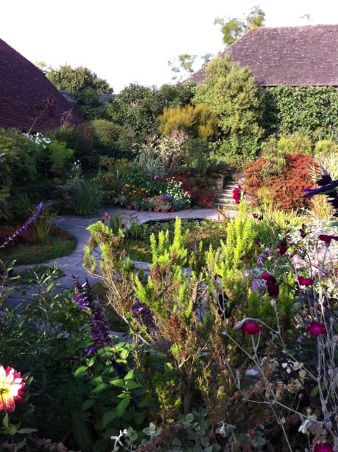 It's late in the season but there's still plenty in flower at Dixter