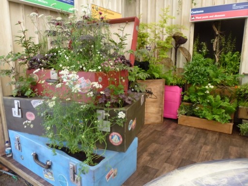 suitcases of plants on stand at chelsea