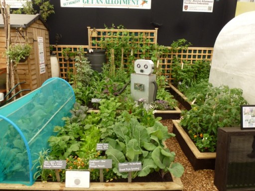 robot in garden on the Leeds district allotment stand