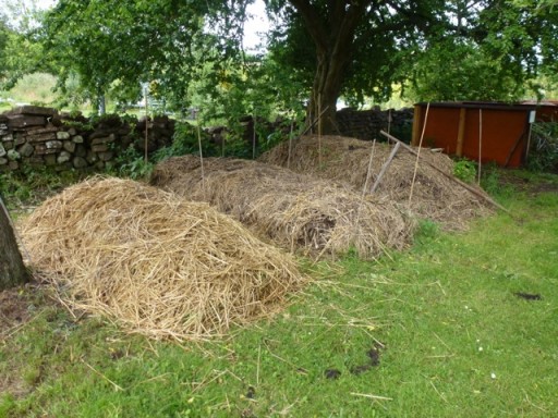 compost heaps laden with straw