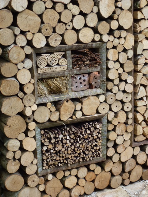 huge log wall containing a insect hotel
