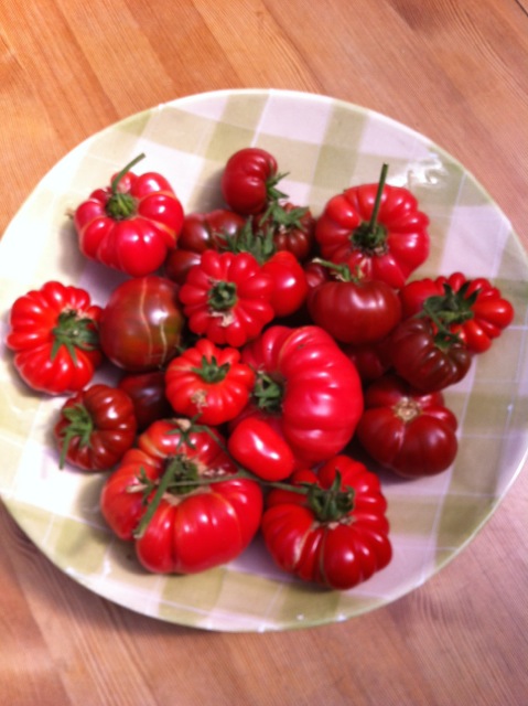 A bowl of home grown exotic tomatoes
