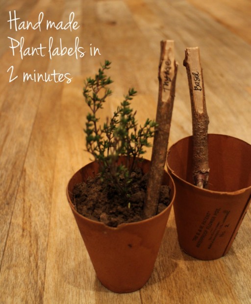 wooden plant labels