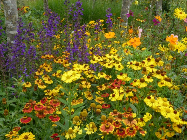 bright coloured planting scheme