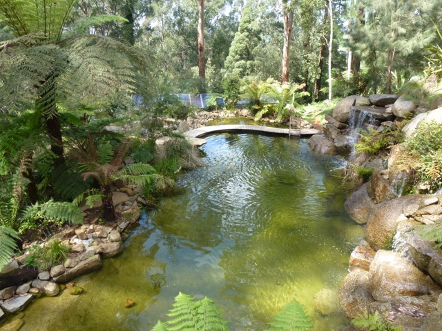 looking back over the pools from the house