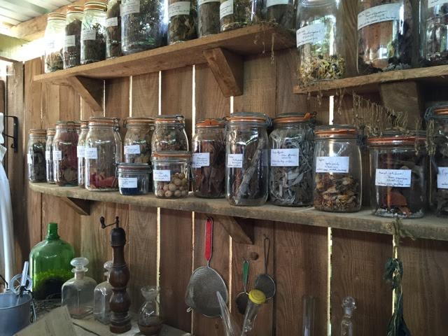 jars of seeds