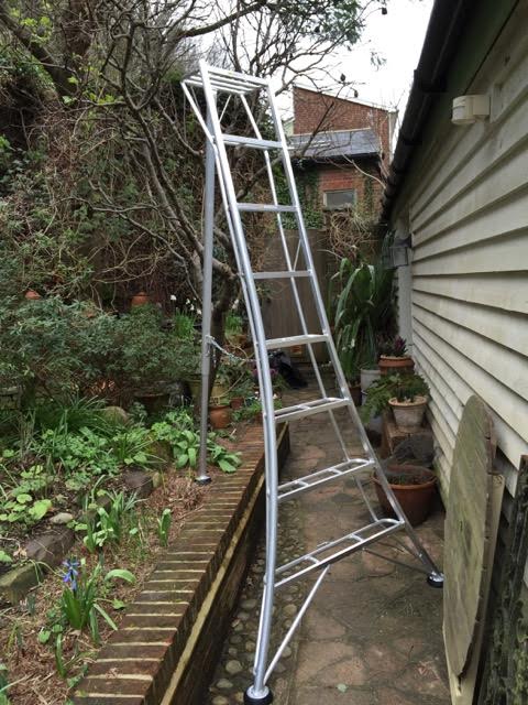 hedge cutting ladders