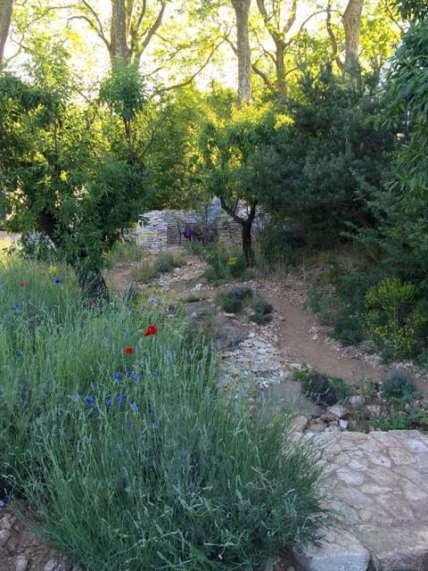 James Basson’s L’Occitane Garden in which he has recreated yet another corner of Provence so realistic that I almost expected to hear the cicadas