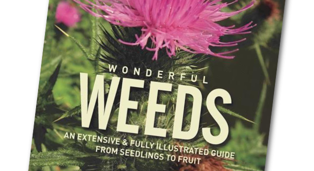 Wonderful Weeds Wonderful Weeds