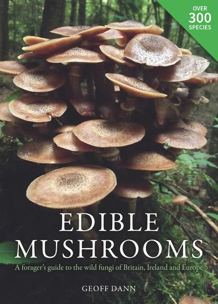 mushroom, book