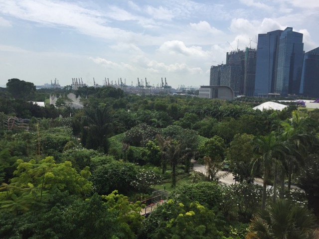 green city,urban greening,singapore