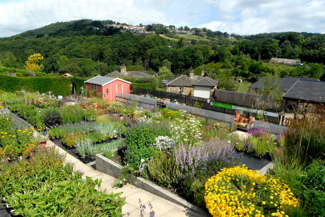 Dove Cottage Nursery The Enduring Gardener