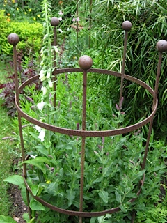 Rusty plant support