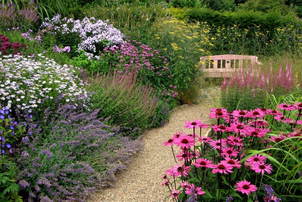 gravel path lined with perennials in cottage garden
