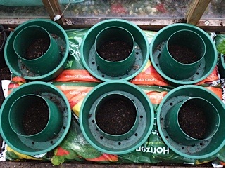 growbags with three holes