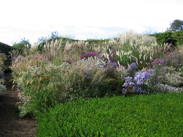 Piet Oudolf uses grasses in garden borders