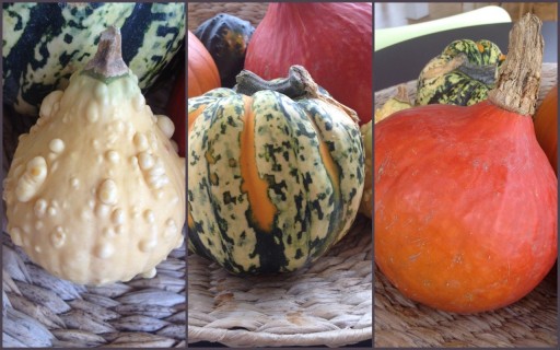 close up of gourds