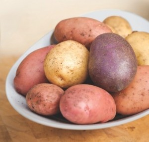 the blight resistant sarpo potatoes