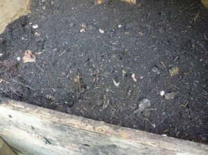 freshly made compost