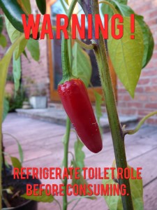 hot chilli - funny warning