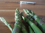 a few spears of freshly picked asparagus