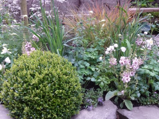 box balls and grasses in classic planting combination