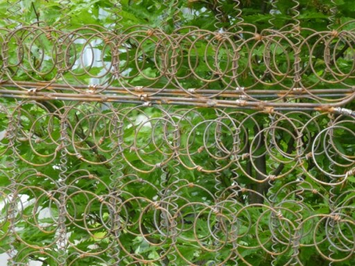 plants could grow through these old bed springs