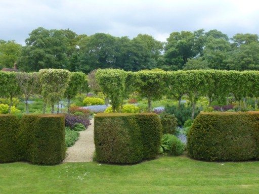 sculpted hedges are organic shapes are pleasing on the eye