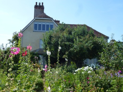 view across garden over hollyhocks back to house