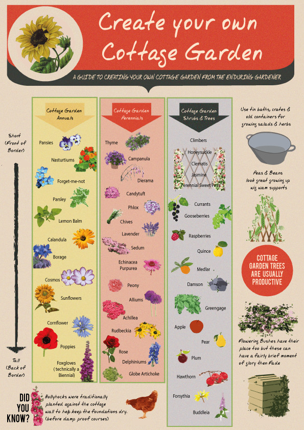 cottage garden plants infographic