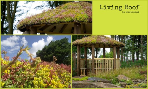 picture collage of living roof