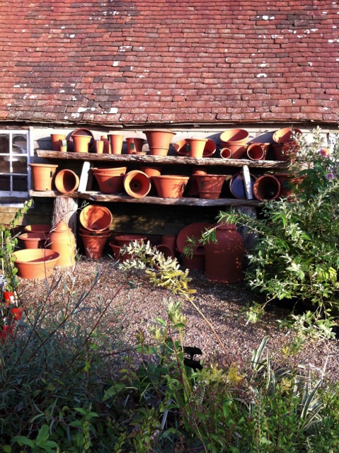 a random collection of pots at Great Dixter Nursery