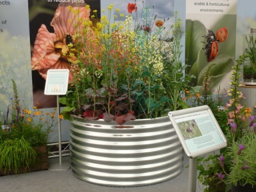attractive round zinc planter at the chelsea flower show