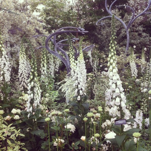 white planting scheme at the chelsea flower show 2014