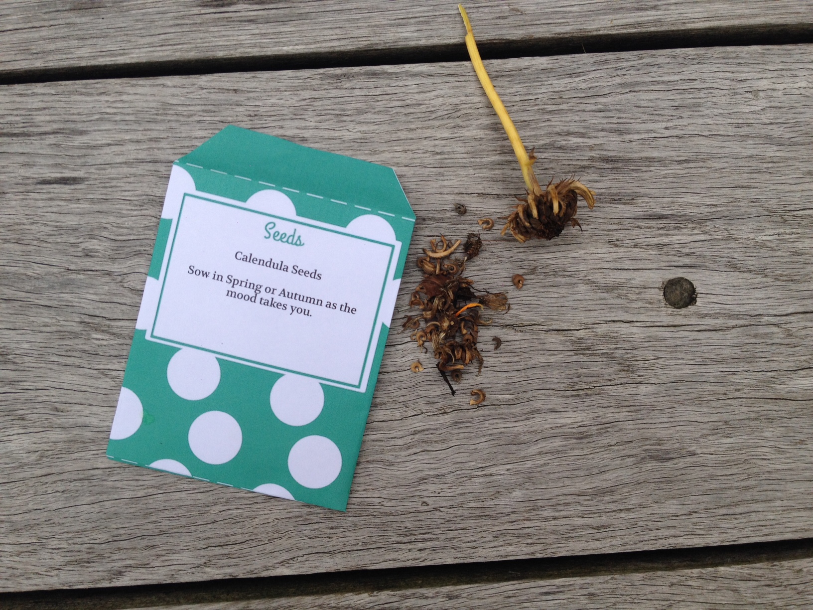 home made seed packet template