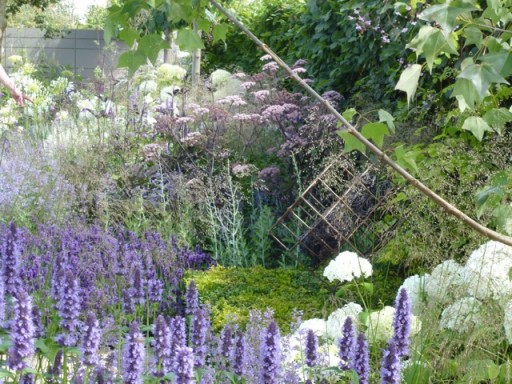Vestra Wealth's garden at Hampton Court 2014