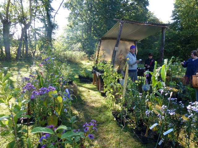 plant stall at the Great Dixter Plant Fair