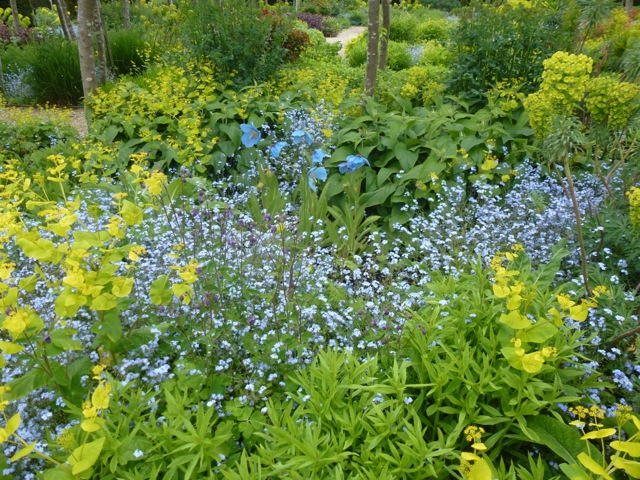 vibrant green and blue planting