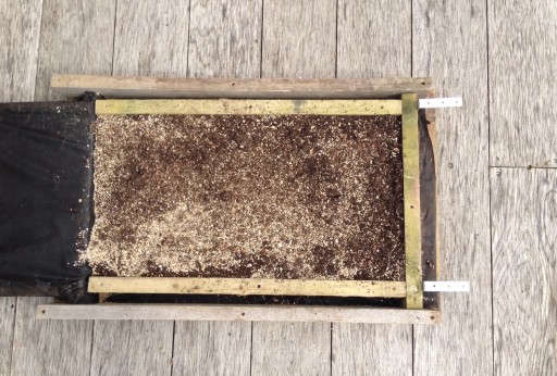 frame filled with compost mix