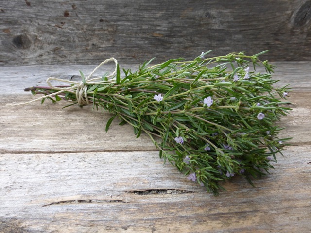 pretty bouquet of summer savory