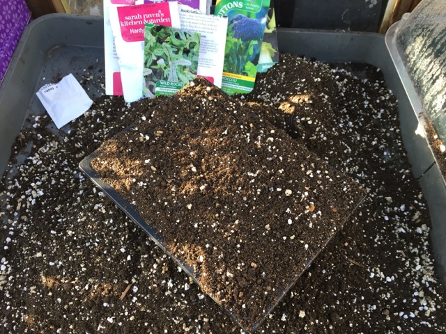 Sifted potting compost with added vermiculite
