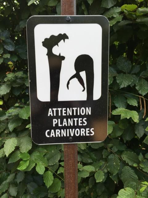 attention to carnivorous pants
