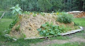 Hugelkultur raised bed