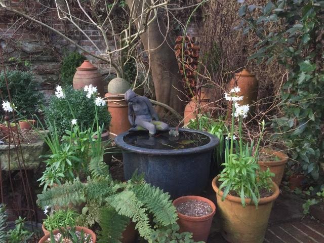garden pots