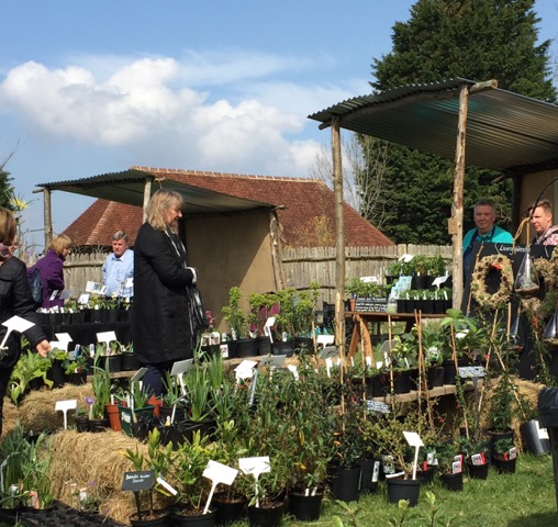 plant sellers