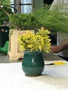 flower arrangement vase