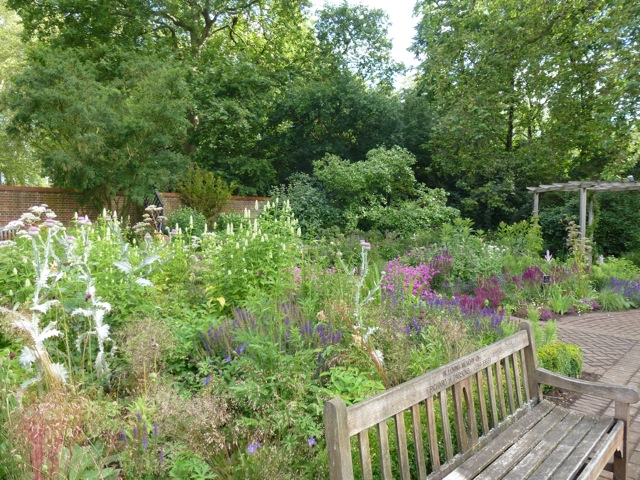 wooden garden bench in foreground with planting to rear