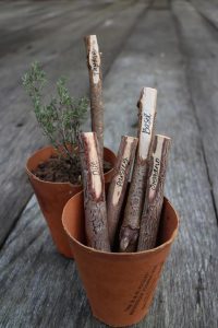 plant labels made from sticks in the garden