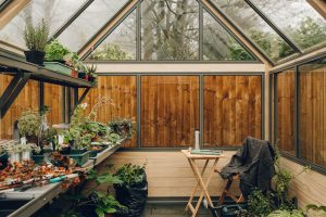 cultivar greenhouse