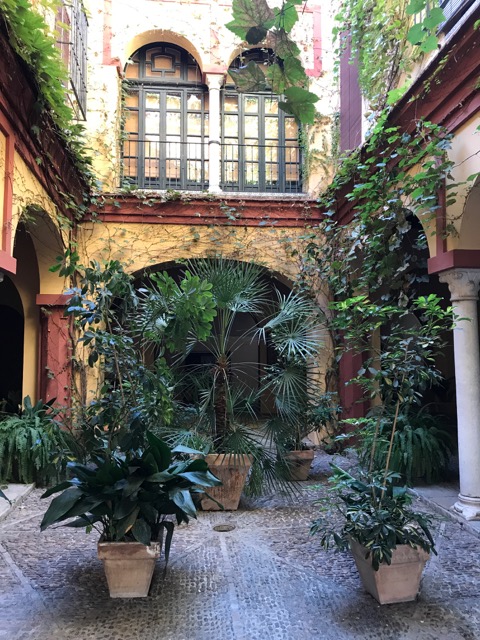 courtyard gardens